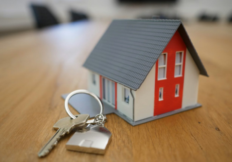 Vivienda Compartida